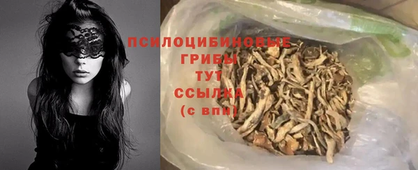 прущие крисы Горняк