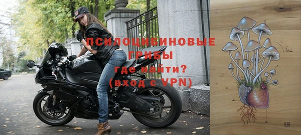 бошки Вязьма