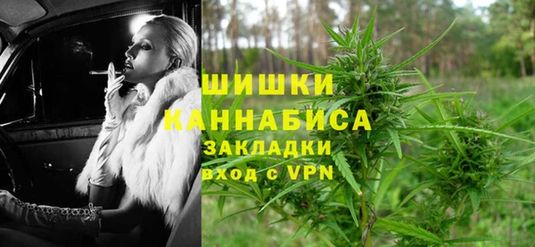 прущие крисы Горняк
