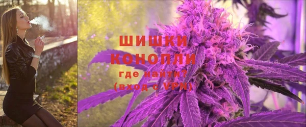 прущий лед Вяземский