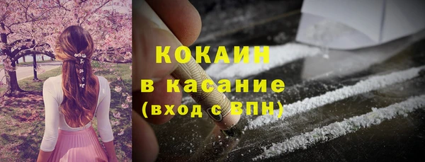 прущие крисы Горняк