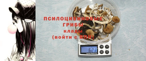 бошки Вязьма