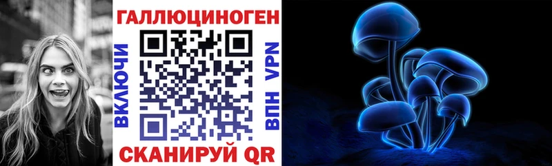 Галлюциногенные грибы GOLDEN TEACHER  блэк спрут tor  Гусиноозёрск 