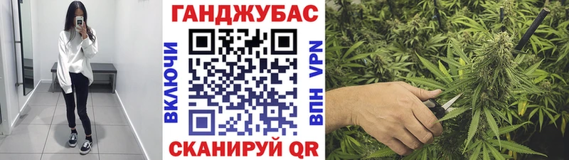 Каннабис сатива  Гусиноозёрск 
